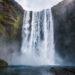 Back to Nature: The Rise of Earth-Sourced Essentials