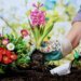 Farm Babe: Get ‘grimy’ on Saturday for World Naked Gardening Day