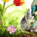 Success with self-watering gardens