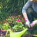 Gardening Tips and Highlights Waushara County Master Gardeners