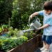 Here are nine gardening trends to do that 12 months