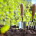 New to gardening? Follow our ‘how to’ guide to getting your first garden started out