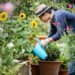 Spring Gardening Show: Wet Soil, Non-Blooming Bulbs, Combating Moles