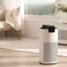 Do You Really Need An Air Purifier In Your Home? We Asked An Expert