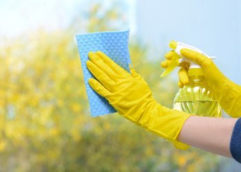 15 Unusual Tips for Your Cleanest Windows Ever