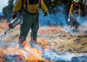 HAVE YOU EVER BEEN AFFECTED BY A FIRE?