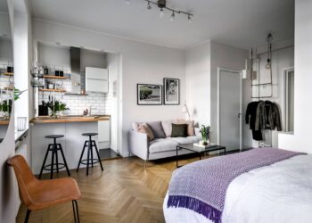 One Room Apartment Ideas – Do You Have Them Too?