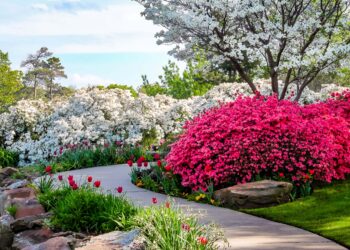 Floral Garden – What Kind Of Plants Should You Grow In It?