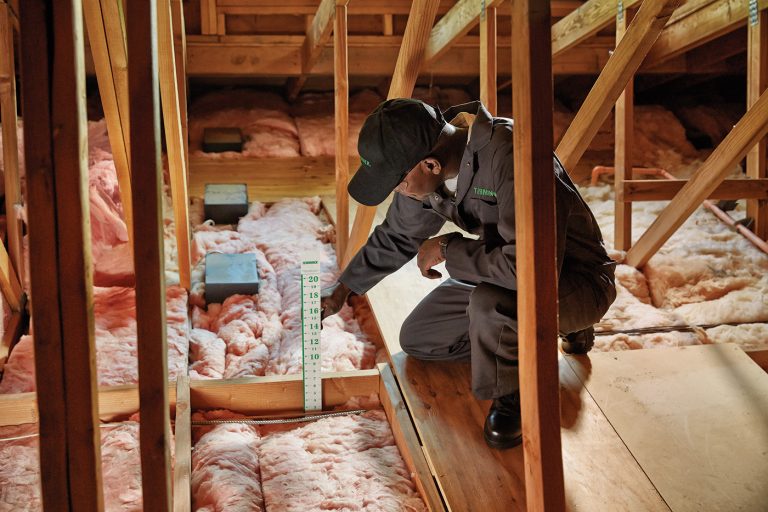 Benefits Of Attic Insulation Services Benefits Of Attic Insulation Services