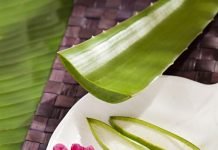 10 Ways Aloe Vera Can Be Used For Skin.