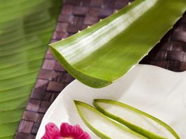 10 Ways Aloe Vera Can Be Used For Skin.