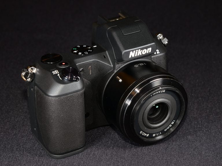 ‘World’s ugliest pig’ stuck on digicam