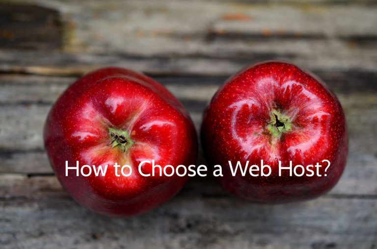 Choosing Cheap Web Hosting That Meets Your Needs