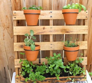 DIY Woodworking Projects for Beginners 8