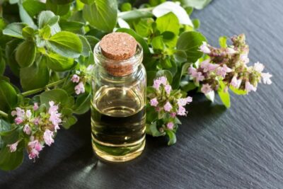 Fatal Consequences of Oregano Oil Overdose 3