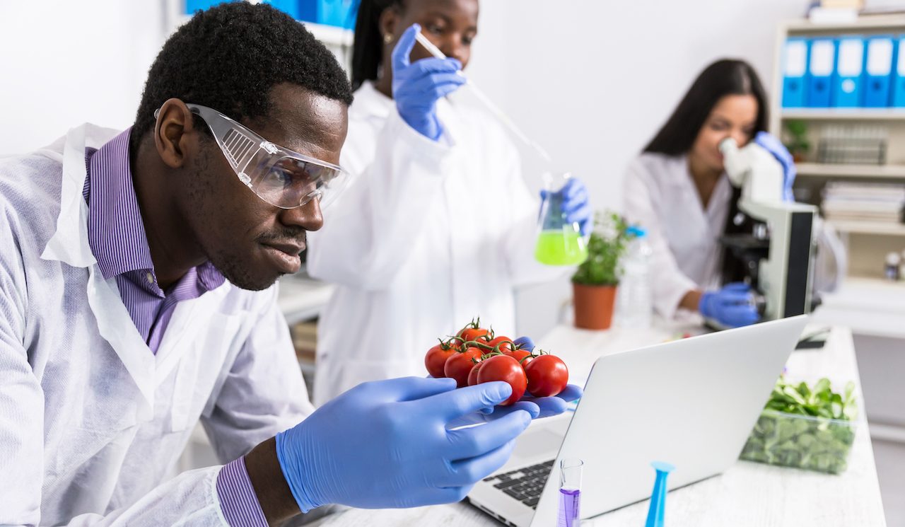 The Ultimate Guide To Food Science In The Food Industry I Suggi