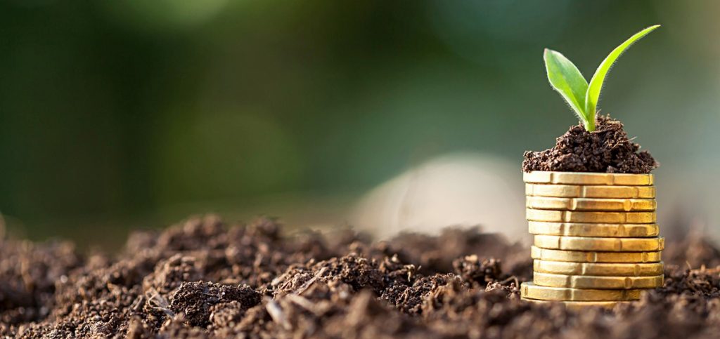 Economics and finance as a career for science and tech students