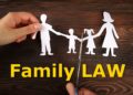 National circle of relatives court docket ought to be scrapped and powers given to states, consistent with evaluation of the system