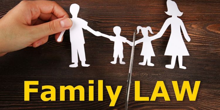 National circle of relatives court docket ought to be scrapped and powers given to states, consistent with evaluation of the system