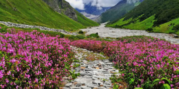 Man Gives An Uttarakhand Valley Its 1st Health Centre