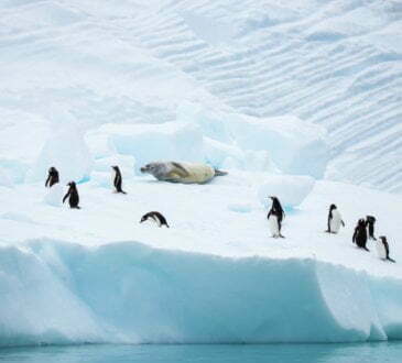 A law, this time for Antarctica 6