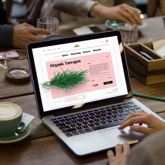 Squarespace owns web design–now it’s coming for email 10