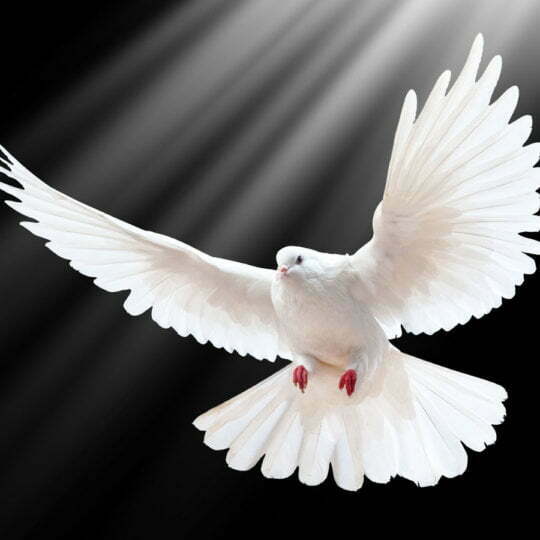 Dove Takes Another Crack at Industry Beauty Standards With ‘No Digital Distortion’ Mark 8