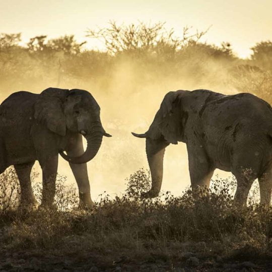 General fears ‘war soon’ in Africa 8