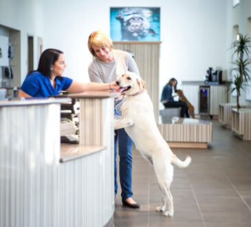Visit wedington animal hospital to read reviews about doctors 15