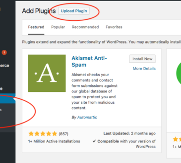 How to Install WordPress Plugins, Step-by-Step 7