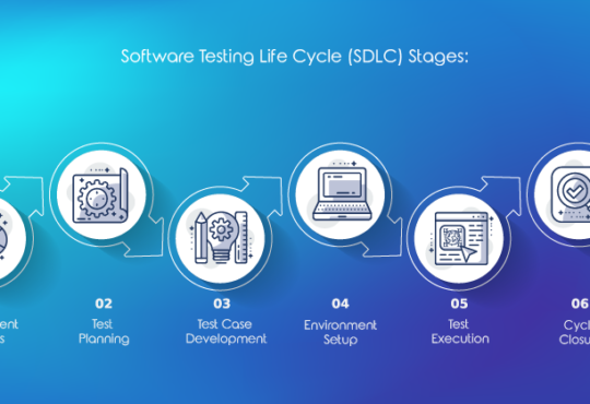 Testing Software Life Cycle 3