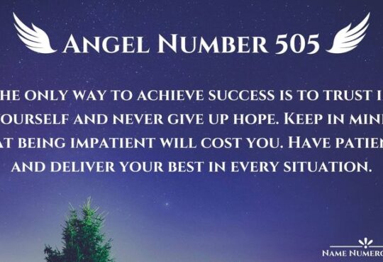 Unlocking the Meaning of 505 Angel Number 20