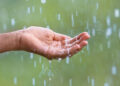 Information You Can Use: Tips for riding effectively within the rain 12 Information You Can Use: Tips for riding effectively within the rain