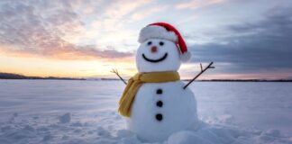 Top 5 Things to do in Quapaw Quarter, Little Rock, this Winter Home 3