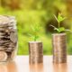 The Differences Between Mutual Funds, SIPs, and Fixed Deposits 33