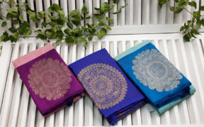 Evolution of Sarees in Bengal 20