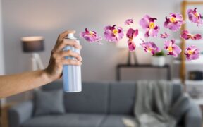 Are Plug-in Air Fresheners Safe? 4