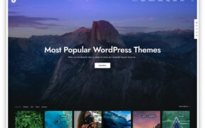 My WordPress Website Has Been Hacked 4