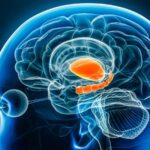 Do You Know Much About How Your Brain Works? You Should! 41