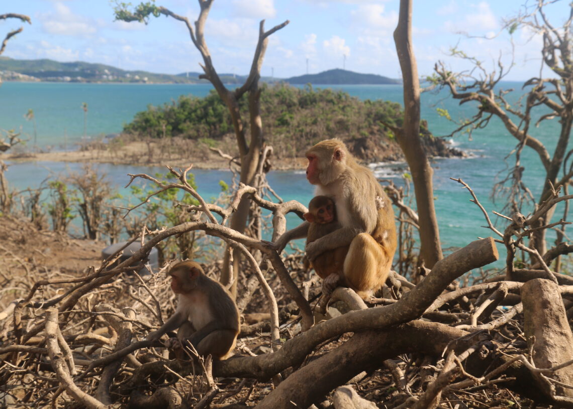 Page Not Found My Pro Blog