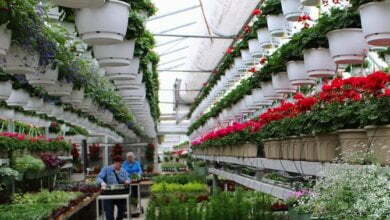 Hundreds come out for Seedy Sunday in Kelowna to launch gardening season 15 Photo of Hundreds come out for Seedy Sunday in Kelowna to launch gardening season