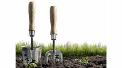 Seedy Saturday: preparing for gardening season in Saskatchewan 13 Photo of Seedy Saturday: preparing for gardening season in Saskatchewan