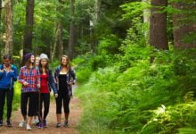 Photo of Life-changer inside the outdoors: find the ‘sweet spot’