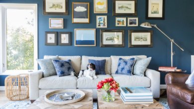 Photo of Kia Seltos unveiled: Interior Design Highlights