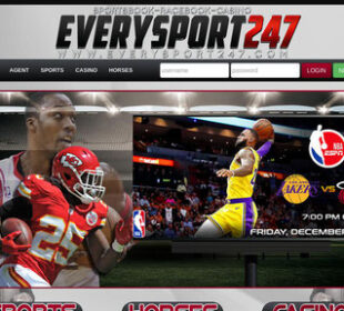 Create Your Everysport247 Account Now and Get Ahead of the Game 6