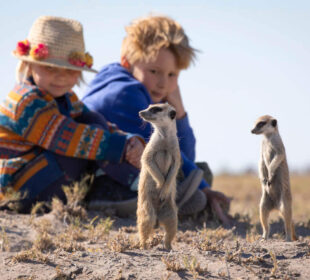 Meerkats at Camp Kalahari the Cutest Addition to Your Safari 15