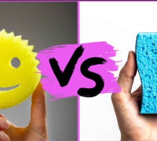 Battle of the Scrubs: Scrub Daddy vs Scrub Mommy 9
