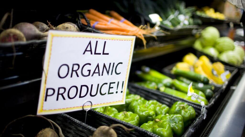 Organic Food Vs. Non-organic Food: Answers to the Age-old Debate 3