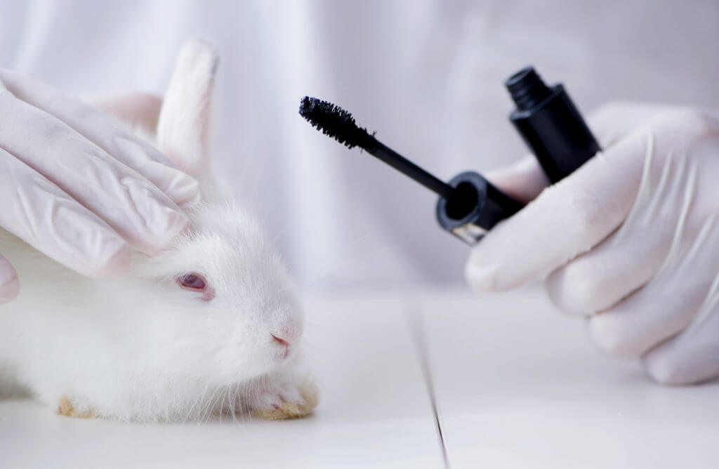 Bill that would ban cosmetic animal testing clears the Senate 2