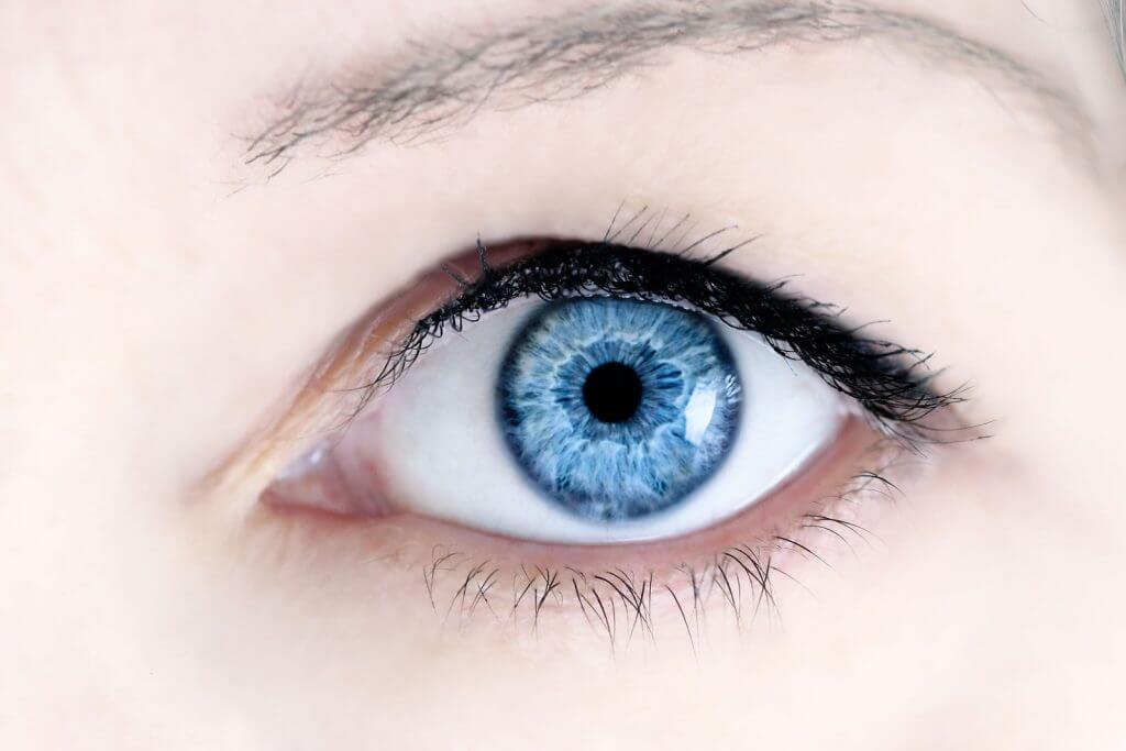 Nutrition That Supports Eye Health 1